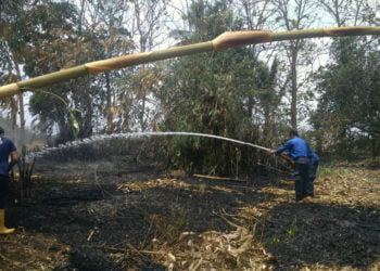PADAMKAN API. Petugas pemadam kebakaran Lampung Selatan berupaya memadamkan api yang membakar lahan kering di Dusun Wahlimus, Desa Hajimena, Kecamatan Natar, Lampung Selatan, Selasa (1/10). Pada hari yang sama kebakaran juga terjadi di Tarahan dan Pesawaran. (DOKUMENTAS DAMKAR LAMSEL)