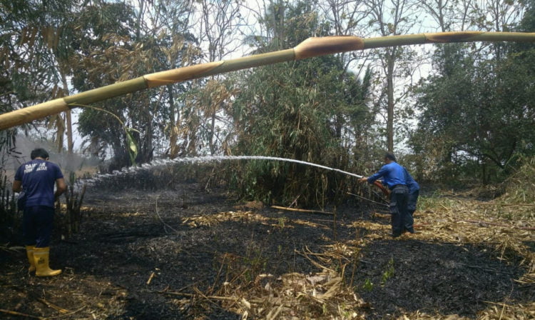 PADAMKAN API. Petugas pemadam kebakaran Lampung Selatan berupaya memadamkan api yang membakar lahan kering di Dusun Wahlimus, Desa Hajimena, Kecamatan Natar, Lampung Selatan, Selasa (1/10). Pada hari yang sama kebakaran juga terjadi di Tarahan dan Pesawaran. (DOKUMENTAS DAMKAR LAMSEL)