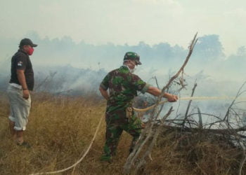PADAMKAN KEBAKARAN. Anggota Koramil 0426-01/Mesuji dan warga berupaya memadamkan api yang membakar lahan gambut di perbatasan Mesuji, Lampung, dengan Ogan Kemering Ilir (OKI), Selasa (8/10). Kebakaran menghanguskan sekitar 3 hektare lahan gambut. (DOKUMENTASI KORAMIL 0426-01)