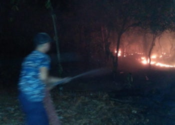 KEBAKARAN LAHAN. Petugas berusaha memadamkan api yang membakar lahan kering sekitar areal pintu keluar Jalan Tol Trans-Sumatera (JTTS) Kalianda, Jumat (4/10).
(ISTIMEWA)