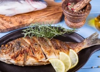 Lampung Targetkan Konsumsi Makan Ikan Meningkat