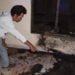 TERBAKAR. Salah satu warga menunjukkan lokasi yang diduga menjadi awal terjadinya kebakaran yang melanda Musala Nurul Hidayah di Dusun II, RT VI, Desa Titiwangi, Kecamatan Candipuro, Lampung Selatan, Selasa (2/10_ malam. (DOKUMENTASI WARGA)