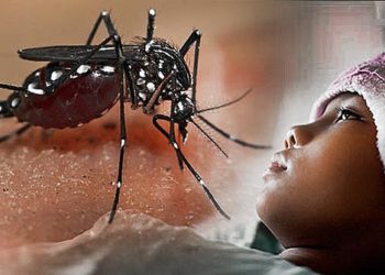 Waspada DBD Saat Musim Hujan