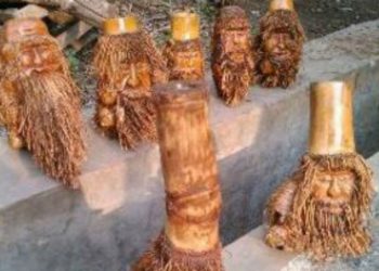 Akar bambu (ILUSTRASI/GOOGLE)