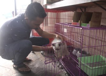 Pecinta satwa makin banyak dan membentuk karakter pemiliknya. (LAMPUNG POST/SUKISNO)