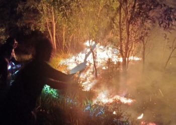 PADAMKAN API. Sejumlah warga berupaya memadamkan api di kawasan wisata TNBBS, tepatnya di Dusun Sidorejo, Pekon Sukamarga, Kecamatan Suoh, Lambar. DOK TNBBS