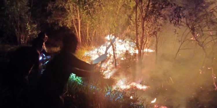 PADAMKAN API. Sejumlah warga berupaya memadamkan api di kawasan wisata TNBBS, tepatnya di Dusun Sidorejo, Pekon Sukamarga, Kecamatan Suoh, Lambar. DOK TNBBS