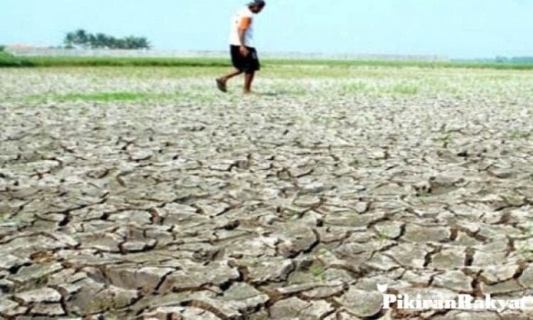 Kekeringan di wilayah Tanggamus. (DOK.LAMPUNG POST)