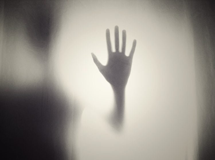 Ilustrasi: Free-Photos/Pixabay.com