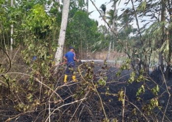 KEBAKARAN LAHAN. Kebakaran lahan kering di Dusun I, Desa Natar, Kecamatan Natar, Lampung Selatan, Senin(4/11). DOK DAMKAR LAMPUNG SELATAN