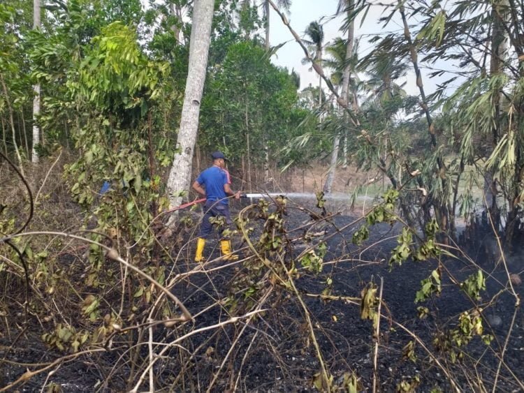 KEBAKARAN LAHAN. Kebakaran lahan kering di Dusun I, Desa Natar, Kecamatan Natar, Lampung Selatan, Senin(4/11). DOK DAMKAR LAMPUNG SELATAN