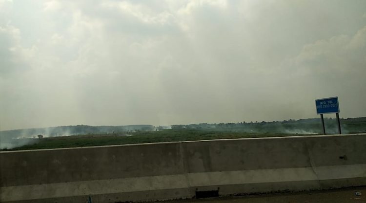 TITIK ASAP. Sejumlah titik asap terpantau dari jalan tol trans-Sumatera Km 189, Tulangbawang Barat, Selasa (12/11). AHMAD SOBIRIN