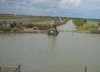 SALURAN SUNGAI. Salah satu saluran SPP di Desa Bandaragung, Kecamatan Palas, Lampung Selatan, beberapa hari lalu. ISTIMEWA