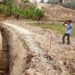 Saluran irigasi tersier yang dinormalisasi melalui program Serasi di Kecamatan Sragi, Lampung Selatan, beberapa hari yang lalu. LAMPUNG POST/ ARMANSYAH