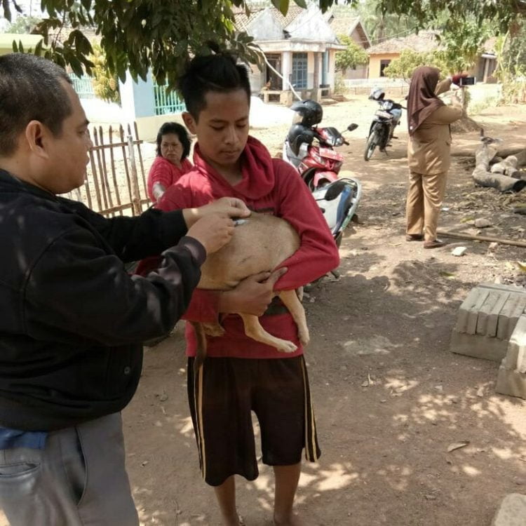 VAKSIN. Petugas Dinas Pertanian memberikan vaksi ke anjing milik warga Desa Batunangkop, Kecamatan Sungkai Tengah, dalam rangka pelaksanaan vaksinasi antirabies (VAR), Senin (18/11). n LAMPUNG POST/YUDHI HARDIYANTO