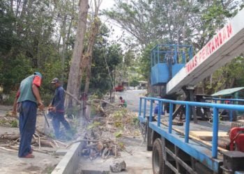 PEMOTONGAN DAHAN. Petugas BPBD Bandar Lampung melakukan pemotongan dahan di jalan Samratulangi Bandar Lampung, Senin (4/11). Pemotongan tersebut dilakukan karena dahan pohon hampir patah dan dikhawatirkan memakan korban.
LAMPUNG POST/SUKISNO