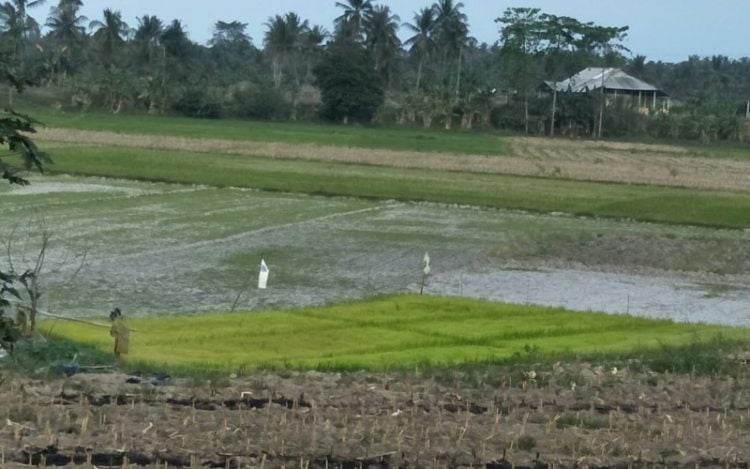 Pupuk Indonesia Bangun Pabrik CO2