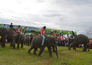 Way Kambas, Dok Lampung Post