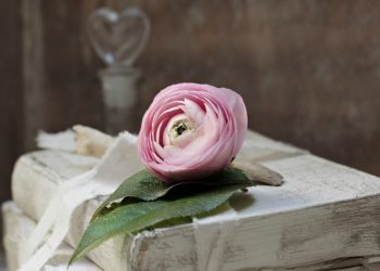 Ilustrasi: pixel2013/pixabay.com