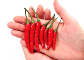 Cabai Cegah Jantung dan Stroke