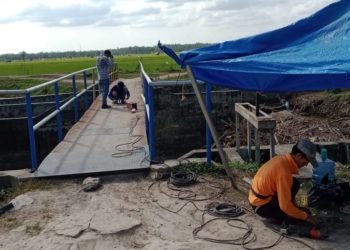 PERBAIKAN JEMBATAN. Jembatan penyeberangan bendungan di Desa Palaspasemah, Kecamatan Palas, Lampung Selatan, saat diperbaiki Balai Besar Wilayah Sungai Mesuji Sekampung (BBWSMS) Lampung, beberapa hari yang lalu. n LAMPUNG POST/ARMANSYAH