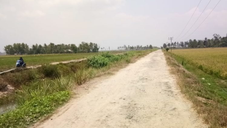 BATAL DIPERBAIKI. Salah satu ruas jalan Desa Pulautengah, Kecamatan Palas, Lampung Selatan, yang batal diperbaiki pada 2019, beberapa hari yang lalu. LAMPUNG POST/ARMANSYAH