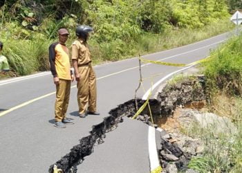 TINJAU JALINBAR. Petugas BPBD Pesisir Barat meninjau Jalan Lintas Barat (Jalinbar) yang ambles di perbatasan Bengkulu—Lampung. DOK BPBD PESISIR BARAT
