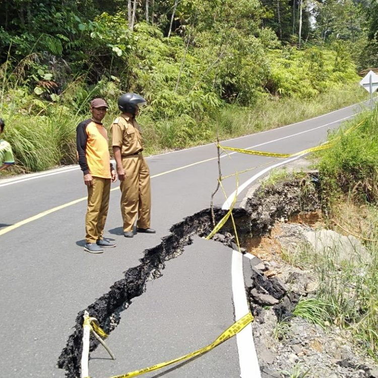 TINJAU JALINBAR. Petugas BPBD Pesisir Barat meninjau Jalan Lintas Barat (Jalinbar) yang ambles di perbatasan Bengkulu—Lampung. DOK BPBD PESISIR BARAT