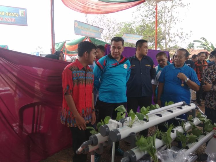 KUNJUNGI STAN. Ketua Karang Taruna Provinsi Lampung Dendi Ramadhona mengunjungi stan UMKM yang ada saat menghadiri peringatan Bulan Bhakti Karang Taruna (BBKT) ke-59 di Desa Trimulyo, Kecamatan Tegineneng, Kamis (5/12). LAMPUNG POST/PUTRA PANCASILA SAKTI