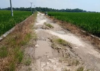 BATAL DIPERBAIKI. Ruas Jalan Desa Mandalasari, Kecamatan Sragi—Desa Pematangbaru, Kecamatan Palas, Lampung Selatan, yang batal diperbaiki lantaran gagal dalam proses lelang, Minggu (15/12). LAMPUNG POST/ARMANSYAH