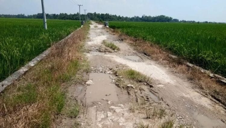 BATAL DIPERBAIKI. Ruas Jalan Desa Mandalasari, Kecamatan Sragi—Desa Pematangbaru, Kecamatan Palas, Lampung Selatan, yang batal diperbaiki lantaran gagal dalam proses lelang, Minggu (15/12). LAMPUNG POST/ARMANSYAH