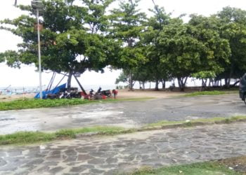 Abrasi Pantai di Bengkulu Mengkhawatirkan