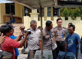 Ribuan Burung Asal Pringsewu Hendak Diselundupkan ke Jakarta