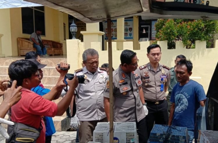 Ribuan Burung Asal Pringsewu Hendak Diselundupkan ke Jakarta