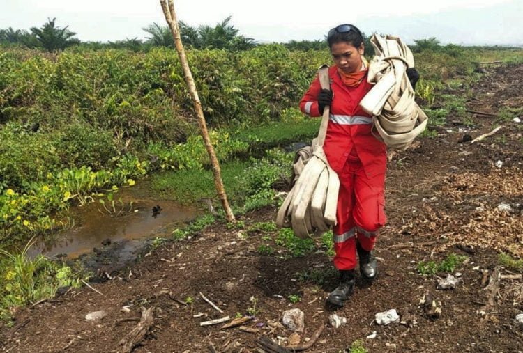 PADAMKAN KARHUTLA. Personel Manggala Agni membawa selang air menuju lokasi karhutla gambut di dekat rumah masyarakat di Kecamatan Lalolae, Kolaka Timur, Sulawesi Tenggara, Selasa (3/12). (ANTARA/MANGGALAAGNI/JOJON)