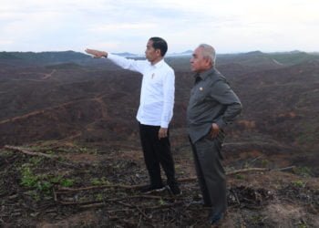 TINJAU IBU KOTA BARU. Presiden Joko Widodo (kiri) berbincang dengan Gubernur Kalimantan Timur Isran Noor (kanan) saat meninjau lokasi rencana ibu kota baru di Sepaku, Penajam Paser Utara, Kalimantan Timur, Selasa (17/12). (ANTARA/ABAR NUGROHO GUMAY)