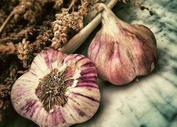 Ilustrasi:LoboStudioHamburg/Pixabay.com