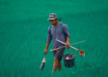 Ilustrasi: Mckirno/pixabay.com