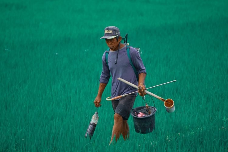 Ilustrasi: Mckirno/pixabay.com