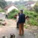 Pohon Tumbang Nyaris Timpa Seorang Perempuan