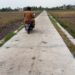 JALAN RETAK. Kondisi jalan konstruksi rabat beton di Dusun II, Desa Bandanhurip, Kecamatan Palas, Lampung Selatan, yang didanai dari DD 2019 mengalami keretakan, beberapa hari yang lalu. n LAMPUNG POST/ARMANYAH