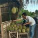 PENJUAL BUAH DURIAN. Lapak penjual buah durian di Jalan Lintas Sumatera, Kecamatan Katibung, Lampung Selatan, Kamis (2/1). n LAMPUNG POST/PERDHANA