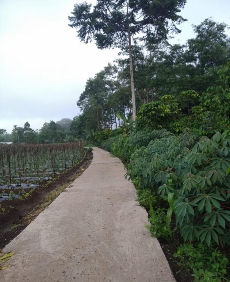 DD Padang Ratu untuk Pembangunan Rabat Beton