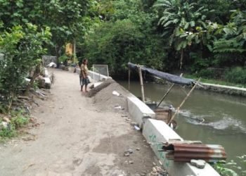 Kali Dangkal Sebabkan Banjir