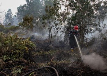 ARSIP KARHUTLA. Petugas Manggala Agni Daops Pekanbaru menyemprotkan air ke lahan gambut yang terbakar di Pekanbaru, Januari tahun lalu. Karhutla yang kembali melanda Riau hingga 17 Januari 2020 sudah mencapai 107,41 hektare. (ANTARA/RONY MUHARRMAN)