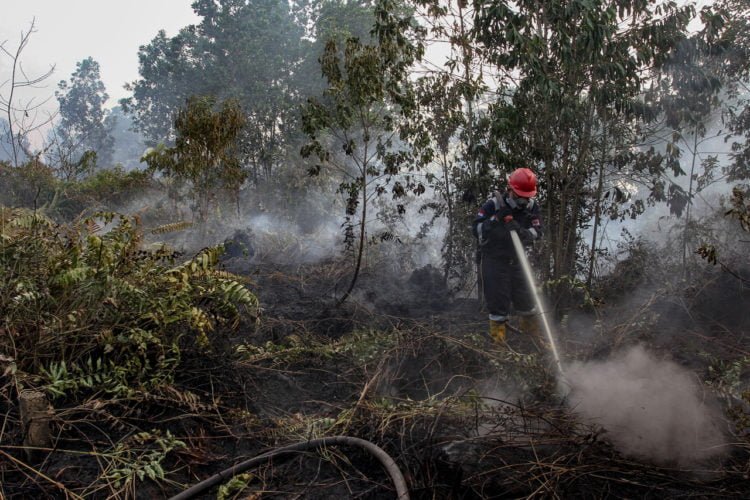 ARSIP KARHUTLA. Petugas Manggala Agni Daops Pekanbaru menyemprotkan air ke lahan gambut yang terbakar di Pekanbaru, Januari tahun lalu. Karhutla yang kembali melanda Riau hingga 17 Januari 2020 sudah mencapai 107,41 hektare. (ANTARA/RONY MUHARRMAN)