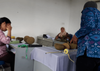 DURIAN LOKAL. Tim Balai Pengkajian Teknologi Pertanian (BPTP) Lampung dan Balai Besar Pengkajian Teknologi Pertanian Badan Penelitian dan Pengembangan Pertanian Kementan, didampingi Dinas Pertanian (Distan) Lampung Utara melakukan pengkajian morfologi varietas durian lokal yang akan didaftarkan.
DOK DISTAN LAMPURA