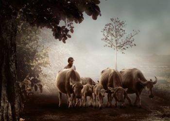 Ilustrasi: Herrierst/Pixabay.com