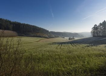 Ilustrasi:fotoblend/pixabay.com