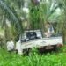 Perampok 1,5 Ton Beras Tinggalkan Mobil karena Mogok